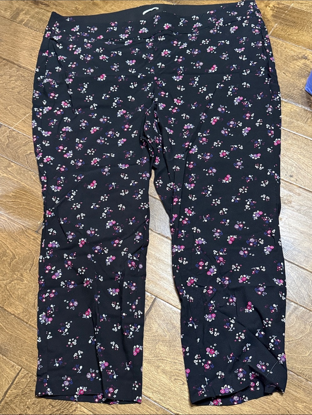 Lane Bryant Allie Black Cropped Pants with Pink & Purple Floral Print